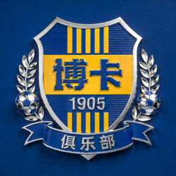 阿根廷博卡青年足球俱乐部官方徽章